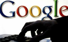 'Quỳnh búp bê' được tìm kiếm nhiều nhất trên Google