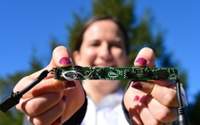 Trí tuệ nhân tạo giúp bảo vệ động vật hoang dã