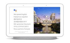 Google Assistant hỗ trợ phiên dịch thời gian thực, có tiếng Việt