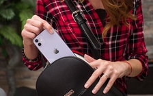 iPhone và Apple Watch phổ biến trong giới trẻ Mỹ