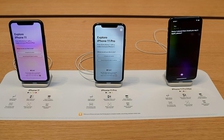 Apple và Samsung cùng được hưởng lợi tại thị trường châu Âu