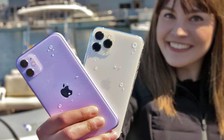 iPhone 11 và iPhone 11 Pro chịu nước tốt hơn mong đợi