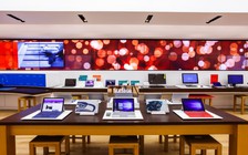Cách sửa lỗi khi tải ứng dụng từ Microsoft Store