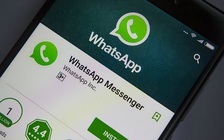 WhatsApp xây dựng cổng thông tin y tế, hỗ trợ 1 triệu USD chống tin giả