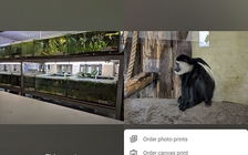 Google Photos sắp có tính năng 'trình chỉnh sửa cao cấp'
