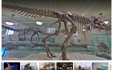 Tham quan hơn 1.000 bảo tàng nổi tiếng qua mạng thời Covid-19