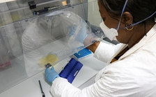 Mozilla ra mắt Quỹ giải pháp Covid-19