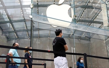 Apple muốn bổ sung gói thuê bao 'tất cả trong một'