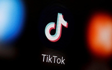 VNG khởi kiện TikTok đòi bồi thường 221 tỉ đồng