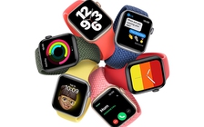 Apple Watch SE không có màn hình Always On
