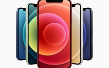 Xác nhận thông tin pin iPhone 12 mini và iPhone 12