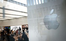 Apple vận động Mỹ giảm thuế sản xuất chip nội địa