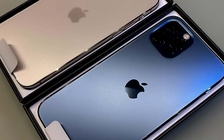 Màu sắc nào trên iPhone 12 Series đang được quan tâm tại Việt Nam?