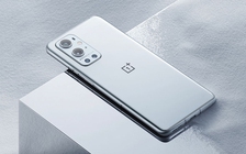 OnePlus 9R cấu hình mạnh, giá tầm trung sắp ra mắt