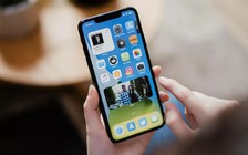 Hơn 90% lượng iPhone đang hoạt động đã cài đặt iOS 14