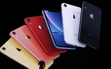 Người Mỹ vẫn chuộng iPhone 11