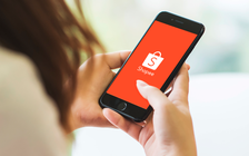 Những nhóm khách hàng Việt thường xuyên mua sắm trực tuyến