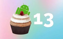 Những hình ảnh đầu tiên của Android 13 Tiramisu