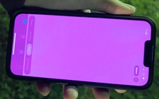 Nhiều iPhone 13 đang gặp sự cố màn hình hồng