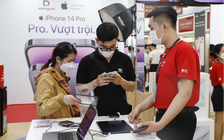 iPhone 14 và iPhone 14 Plus giảm đến 8 triệu đồng sau hơn 1 tuần lên kệ