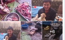 'Người đăng ảnh giết hại khỉ lên facebook không bị xử phạt'