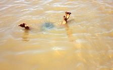 Hai học sinh đuối nước thương tâm