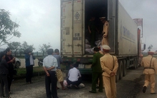 Bắt vụ vận chuyển 2 tấn heo sữa hôi thối trên xe container