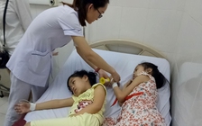 9 học sinh tiểu học bị ngộ độc do ăn hạt trái ngô đồng