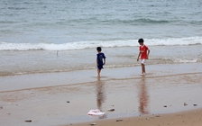 Xuất hiện cá chết dạt vào bãi biển Hà Tĩnh