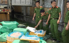 Bắt xe container chở gần 3 tấn nội tạng động vật bốc mùi hôi thối