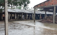 Mâu thuẫn tại lò giết mổ lợn, 1 người bị đâm chết