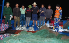 Phạt 2 chủ tàu giã cào tận diệt hải sản 42 triệu đồng