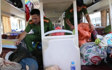 Bắt xe khách vận chuyển động vật hoang dã từ Lào vào Việt Nam