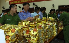 Khởi tố 1 bị can trong đường dây vận chuyển 640 kg ma túy đá