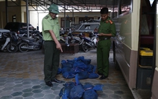 Bắt 2 nghi phạm vận chuyển trái phép 30 cá thể tê tê