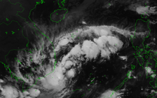 Áp thấp nhiệt đới không có khả năng mạnh lên thành bão