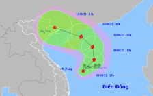 Áp thấp nhiệt đới trên Biển Đông gây gió giật cấp 8, khả năng mạnh thành bão