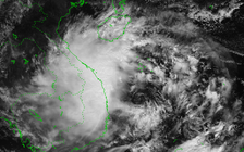 Tin khẩn cấp: Bão số 5 gió giật cấp 10, hướng vào Đà Nẵng đến Quảng Ngãi