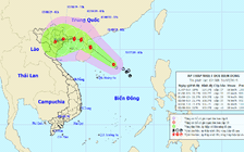 Dự báo thời tiết hôm nay 31.7.2019: Bắc Biển Đông gió mạnh, sóng lớn