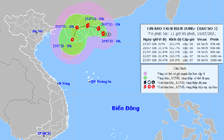 Áp thấp trên Biển Đông mạnh lên thành bão số 3, gió giật cấp 10