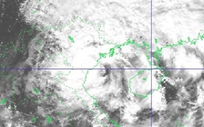 Bão số 7 đã suy yếu thành áp thấp nhiệt đới, sắp đổ bộ Thái Bình - Nghệ An