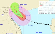 Bão đổi hướng di chuyển, đang hướng vào đất liền tỉnh Quảng Ninh