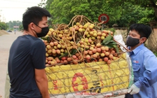 Bắc Giang lập 2 tổ ‘nằm vùng’ ở cửa khẩu hỗ trợ xuất khẩu vải thiều