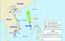 Cảnh báo tàu, thuyền tránh xa vùng ảnh hưởng của áp thấp nhiệt đới