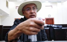 Lại hoãn phiên tòa tranh chấp ly hôn giữa Lê Hoàng Diệp Thảo, Đặng Lê Nguyên Vũ