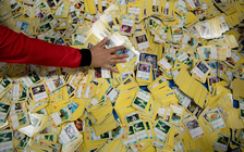 Kẻ chiếm đoạt tiền mua thẻ bài Pokémon bị kết án 3 năm tù