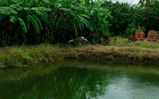 Một thanh niên chết bất thường ngoài vuông tôm