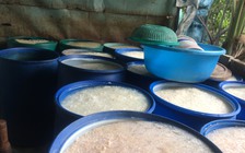 Phát hiện hơn 2 tấn bì nghi sử dụng hóa chất tẩy trắng