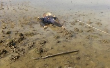 Án mạng vì tranh chấp đất, 2 chú cháu chém nhau tử vong