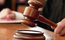 Vụ 'thăng quan bất thường' ở Bạc Liêu: Nuôi rùa biển trái phép; xâm phạm sở hữu trí tuệ